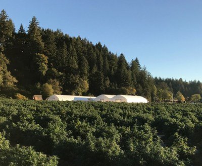 CBD Project | Scio, Oregon